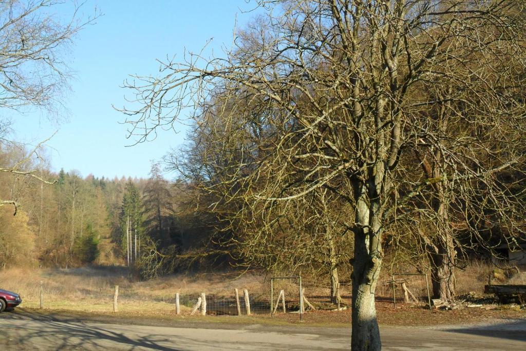 Hotel Badstube Otterberg エクステリア 写真